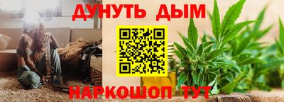 сатива Бийск