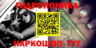 сатива Бийск