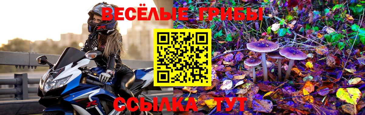 Галлюциногенные грибы Psilocybine cubensis  Вход с VPN  Карпинск 